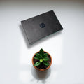 CoralPanda Premium Black Leather Deck Box - CoralGuard